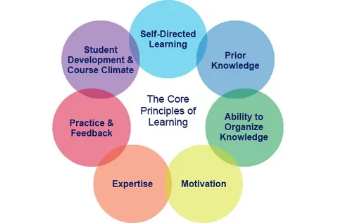 Core Principles for Designing Effective Featured Sections