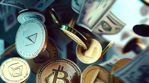 What Makes Bitcoin Different from Traditional Assets